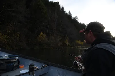 DSC_0285 (Large).JPG